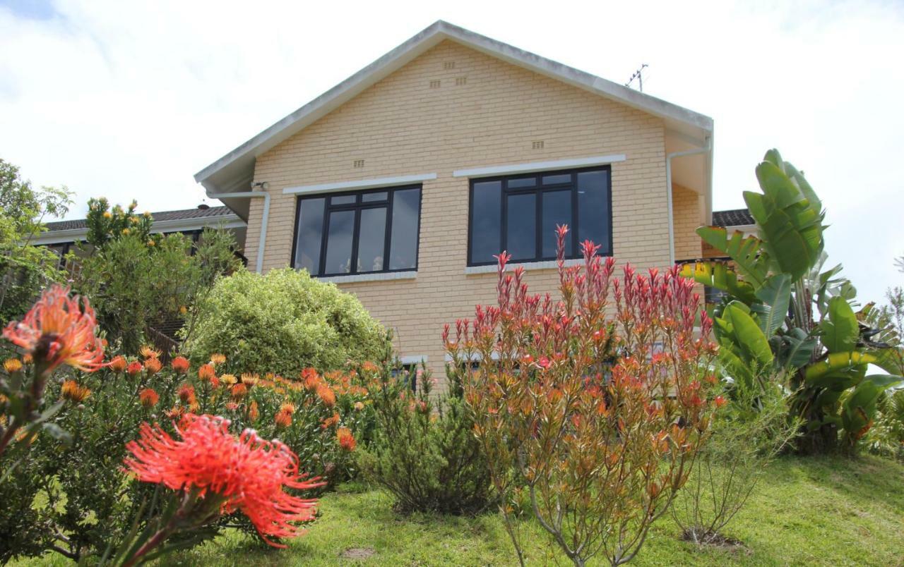 Garden Cottage in Ambiente Guest House Knysna Buitenkant foto