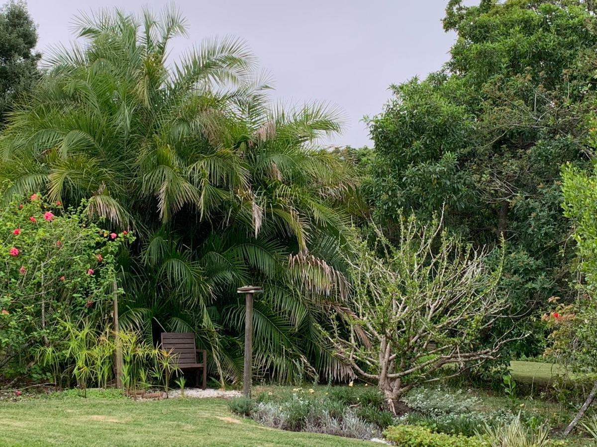 Garden Cottage in Ambiente Guest House Knysna Buitenkant foto